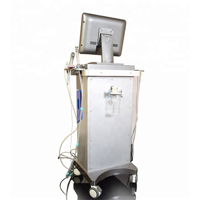 Kopf-Gesichtsschalen-Hydra Dermabrasions-Maschine des Schwarz-240v